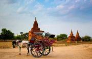 Voyager à Bagan Birmanie