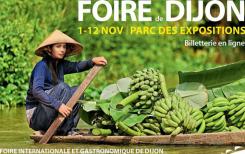 Le Vietnam est l’invité d’honneur de la Foire de Dijon 2017 Le Vietnam est l’invité d’honneur de la Foire de Dijon 2017