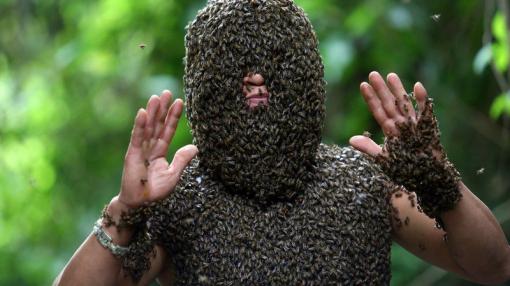 Vietnam: l'homme qui bourdonnait à l'oreille des abeilles