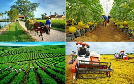Combien de Vietnamiens pratiquent l’agriculture?