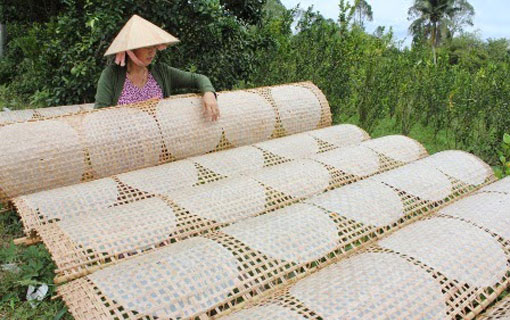 Au Vietnam, bataille autour de la feuille de riz [bánh tráng], ingrédient clef du nem