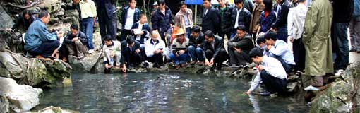 Thanh Hoa: Histoire des “poissons sacrés”