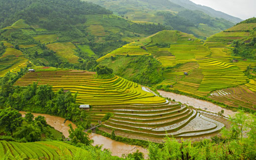 La destination tendance du mois de janvier : le Vietnam