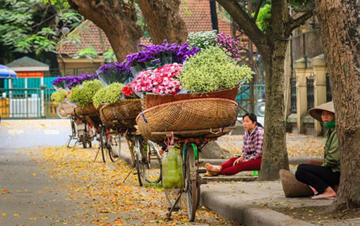 Au Vietnam: Les fleurs et leur histoire