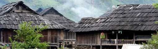 Les maisons en bois de peumou des Thaï à Ngoc Chiên