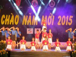 Le Vietnam fête le passage en 2015 